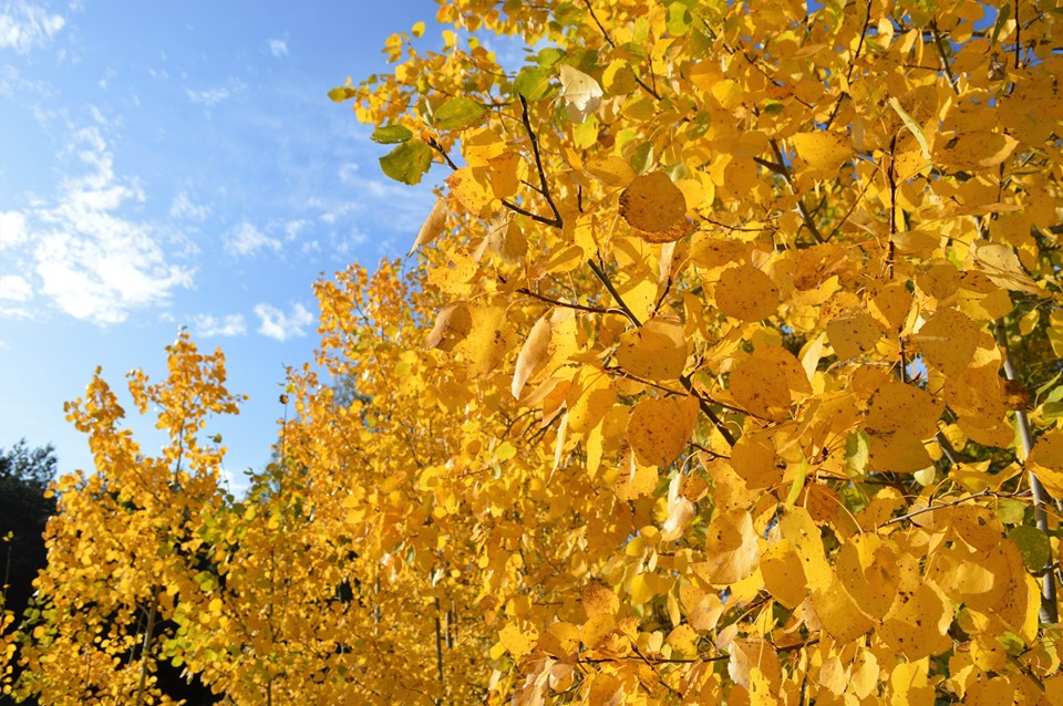 When nothing works out, grab that tiny speck of&nbsp;solace.