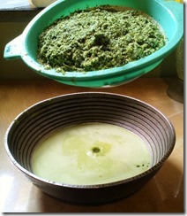 IMG_20151113_095325 IMG_20151113_095325