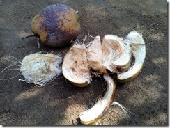 IMG_20151108_084922 IMG_20151108_084922