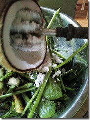 IMG_20151108_085525 IMG_20151108_085525