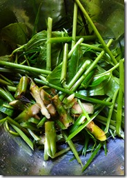 IMG_20151108_084448 IMG_20151108_084448