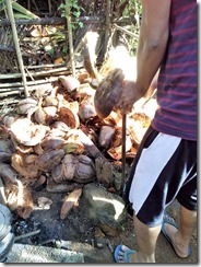 IMG_20151108_084827 IMG_20151108_084827