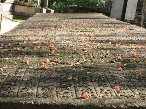 Recollection of day two in&nbsp;Polonnaruwa