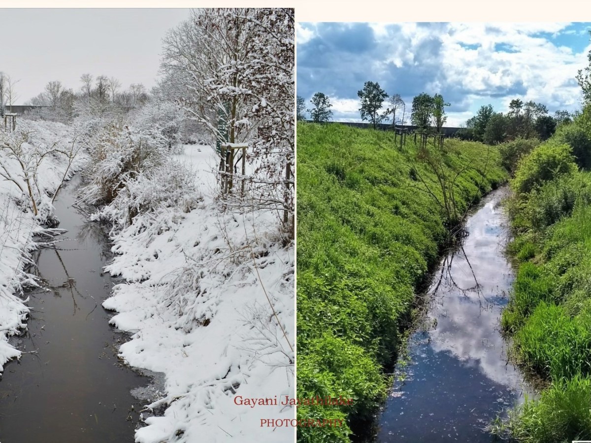 Mind meanderings inside&nbsp;meditation