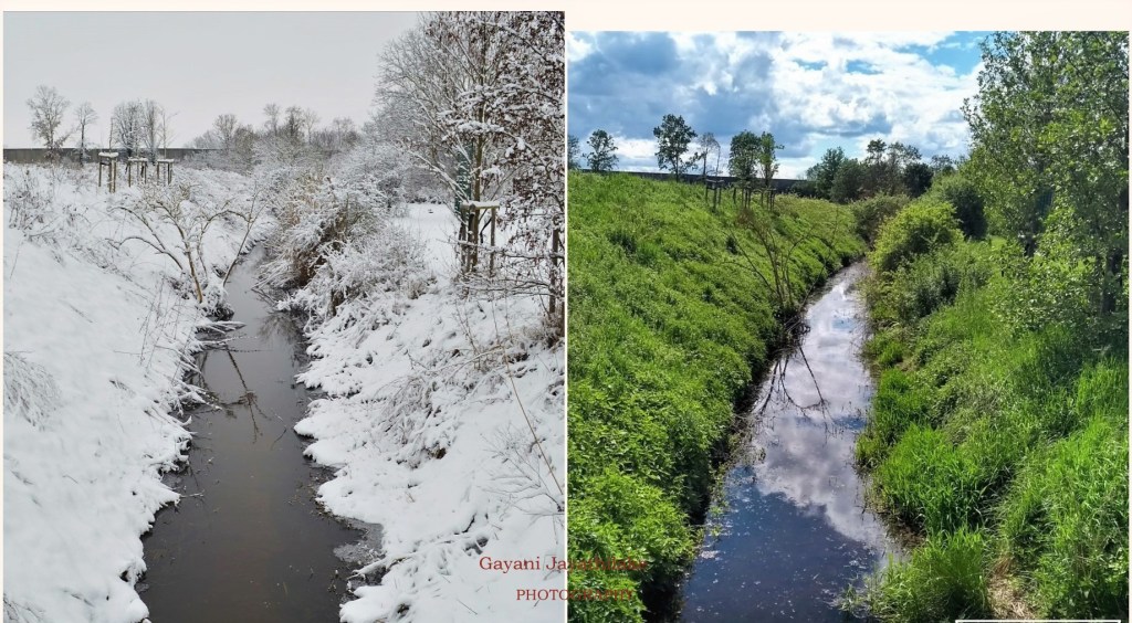 Mind meanderings inside meditation